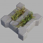 Wardenburger-Rasenstein 